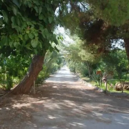Terrauzza Sul Mare Di Renata Emmolo Apartamento Syracuse